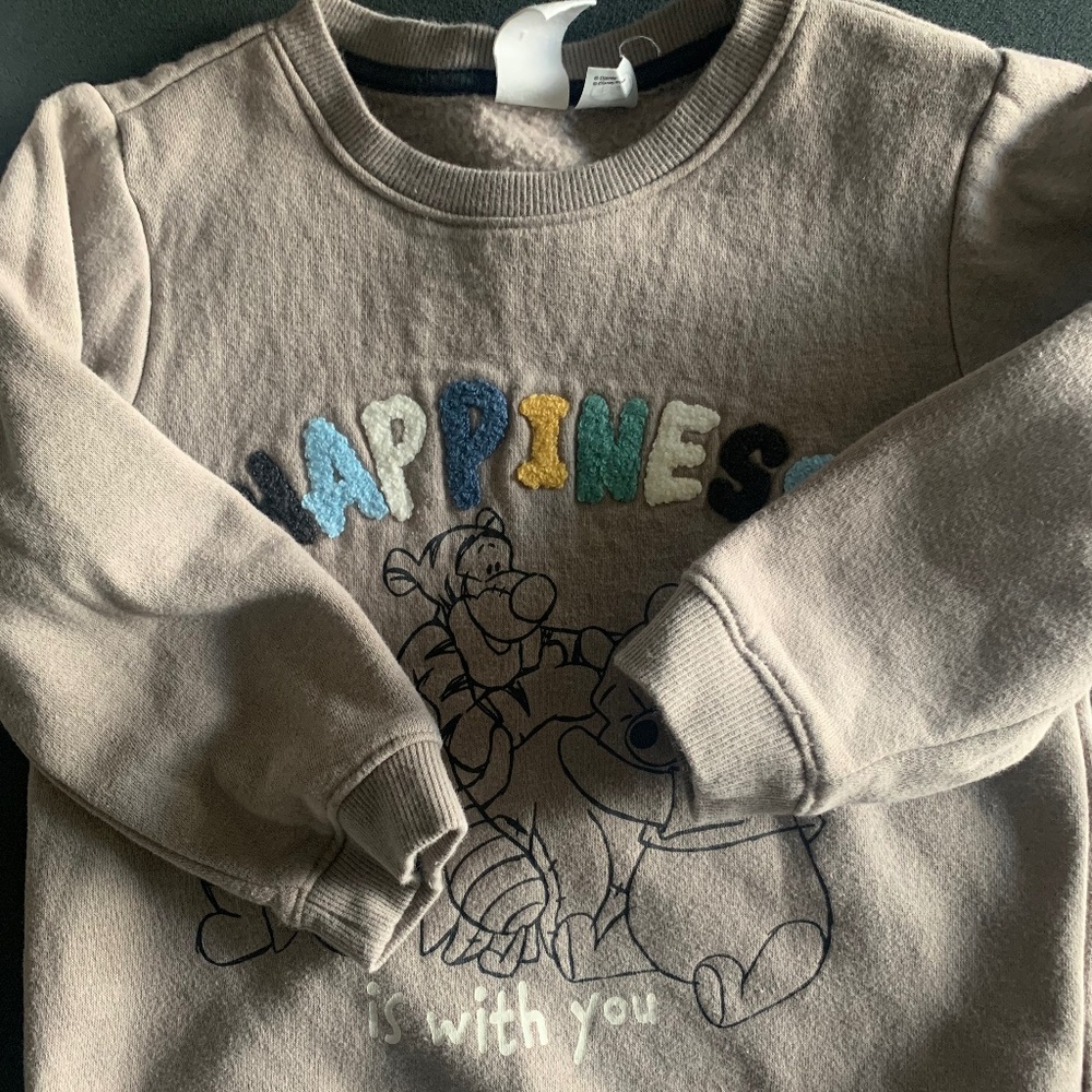 Zara Pull Over Sweater